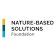 Nature-Based Solutions Foundation logo