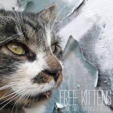 Cat adoptions directly from the current owner or shelter. Free Kittens Volume Two Trap Neuter Release Various Walnut Locust