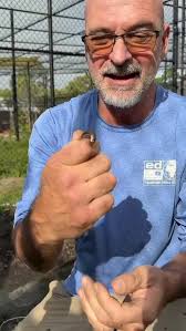 Finding some interesting creatures while working in Florida…