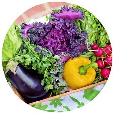 Enjoy fresh herbs, vegetables and flowers grown in your own indoor garden all year round. Garden Activities Throw A Garden Birthday Party Kidsgardening
