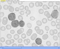 Given a color represented in rgb color space as r=0.5, g=0.2, b=0.9, what is its representation. Hands On Color Models And Imagej Chrisk91