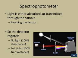 Now you are going to learn about the working principle of the spectrophotometer. Spectrophotometry Chromatography Ppt Download