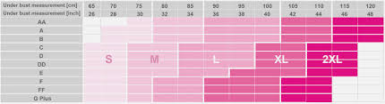 Bra Sizes Uk Chart Pestology