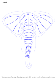 Learn How To Draw An Elephant Head Zoo Animals Step By Step Drawing Tutorials Elephant Drawing Elephant Art Drawing Elephant Face Drawing