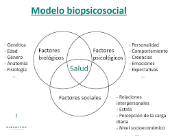 El modelo biopsicosocial es un modelo o enfoque participativo de salud y  enfermedad que postula que los factores biológicos, psicológicos y  sociales, desempeñan un papel significativo de la actividad humana en el
