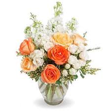 Obituary information for Austin Peter Stemen