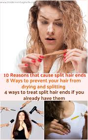 What Causes Split Ends In Your Hair And How To Avoid Them Split Ends Hair Dry Hair Ends Treating Dry Hair