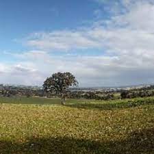 Beautiful Farm Camping This Private Sanctuary Is Home To Many Rare Indigenous Plant Species And An Abundance Best Campgrounds Camping Near Me Beautiful Farm