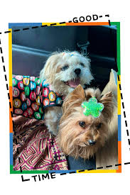 Come #TakeEverything with us!