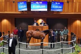 Potente a 'Heart Horse' For Farrell
