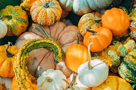 Maybe you would like to learn more about one of these? Tipi Di Zucca Tutte Le Varieta Commestibili Everli Stories