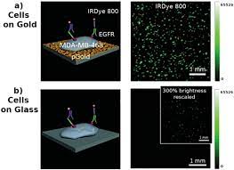 Find groups of (tile) entities: Biosensors Free Full Text Advanced Nanoscale Approaches To Single Bio Entity Sensing And Imaging