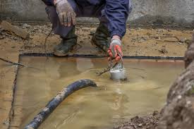 We did not find results for: Pumpensumpf Bauen Alles Was Sie Wissen Sollten
