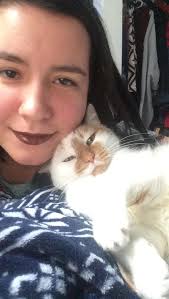 UMM Chamber Orchestra