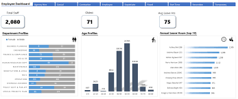 Set up the excel dashboard workbook once you have organized the data, you need to structure your workbook. Excel Dashboards And Reports Access Analytic