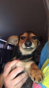 Kaison Denton (@kdent03)