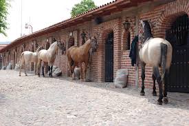 ดู 196 รูป และ 21 ทิปส์ จาก ผู้เยี่ยม 2416 คน ถึง rancho los 3 potrillos hermoso lugar y que buena onda que el sr vicente fernández deje entrar. ฟาร์ม ใน ameca, jalisco. Rancho Los Potrillos Posts Facebook