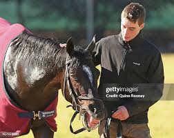 73 David Bergin Photos & High Res Pictures