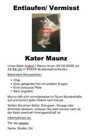 Anschließend wird automatisch anhand ihrer eingegebenen daten ein suchplakat. Katze Entlaufen Was Tun Ein Ratgeber Vom Haustiermagazin