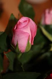 Es gibt viele schönen legenden über den heiligen valentin. Wunsche Euch Allen Einen Schonen Valentinstag Mir Euren Lieben Favoriten