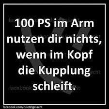 Wahre Und Lustige Spruche Dreamies De