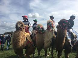Camel's hump state park does not have an entrance or office. Friday Video From World Equestrian Brands One Hump Or Two Eventing Nation Three Day Eventing News Results Videos And Commentary