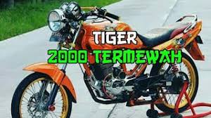 Kecelakaan tiger herex tikungan cangar. Descargar Inspirasi Modif Tiger 2000 Terbaru Mp3 Gratis Mimp3