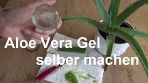 Schon cleopatra wusste von ihrer pflegenden wirkung und hat sich diese zu nutze gemacht. Aloe Vera Gel Selber Machen Aloe Vera Creme Selbst Gemacht Youtube