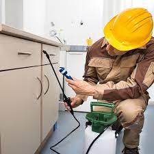 Established in 1995, we have treated and managed some of the most iconic landmarks and premises of mumbai. Top 10 Pest Control Services In Thane West Archives Starlink