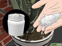 How to get rid of ants in garden soil naturally. 4 Ways To Remove Ants From Potted Plants Wikihow