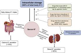 1 doctor answer • 3 doctors weighed in. Current Management Of Hyperkalemia In Patients On Dialysis Sciencedirect