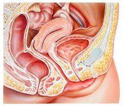In form von vaginalzäpfchen, vaginaltabletten und creme. Ausfluss Entzundung Der Scheide Komplikationen