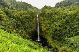 Park at twin falls fruit stand just past mile marker 2 on hana highway, carry bathing suits. Road To Hana Private Jeep Maui Waterfall Hiking Tours