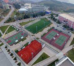 Sakarya universitesi spor bilimleri fakultesi kosu parkuru. Kariyer Dedehan Yapi