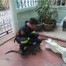 ไฟไหม้ มีภัย โทร.199 เรียกนักดับเพลิงและกู้ภัย สปภ.กทม. –  สํานักงานประชาสัมพันธ์