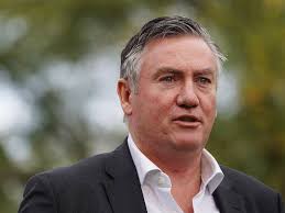 When eddie mcguire took over as collingwood president, the club was in total disarray. Cricket Victoria Take Over Bbl Clubs Katherine Times Katherine Nt