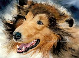 Drawing of a collie dog pictures in here are posted and uploaded by adina porter for your drawing of a collie dog images. Rough Collie Dogs Wallpapers Wallpaper Cave