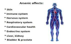 What Does Arsenic Do To Us Mart Life Detox Clinic Anti Aging Spa