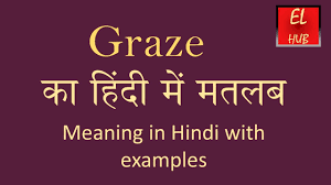 Thus a partier, instead of eating what is directly in front of them, will move around eating from different places, much like a cow. Graze Meaning In Hindi Youtube