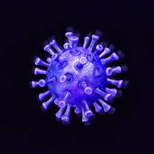 This vaccine is a way that we can build herd immunity and get one step closer to ending this pandemic. Australia S Covidsafe Contact Tracing App Already Has More Than A Million Downloads The Verge