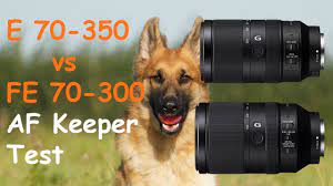Best Sony A6400 Lenses Guide Alphashooters Com