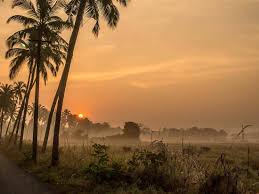 Good Morning Goa, Its Winter Cold ❄️ Morning 🌄 🥶 Location: Anjuna 📸 :  Adam #goa #winter #morning #india
