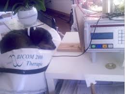 Nos vétérinaires & homéopathe