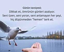 Aylin Ayyildiz Adli Kullanicinin Kisisel Gelisim Ve Olumlamalar Panosundaki Pin Ozlu Sozler Olumlamalar Yasam Tarzi