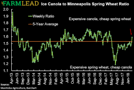 Canola Prices Highlights Farmleads Weekly Graincents Digest