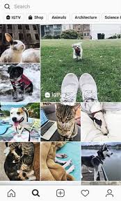 Open instagram and go to your profile. Download Instagram Pro Apk V6 30 Mod Latest For Android