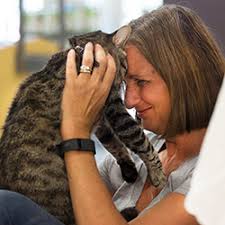 There are so many loving adoptable pets right in your community waiting for a family to call their own. Be A Dog Or Cat Foster Petco Love