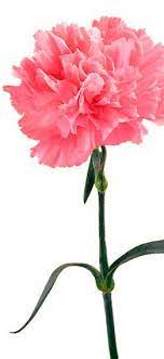 Pin On Beauty