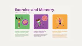 Image result for How does exercise affect the physical structures of the brain, and what is the long term value of exercise as we age? How are cognition and emotion affected by exercise?