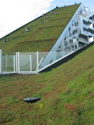 Here's an abridged list of their benefits: Big S 8 House Wins The 2010 Scandinavian Green Roof Award David Report